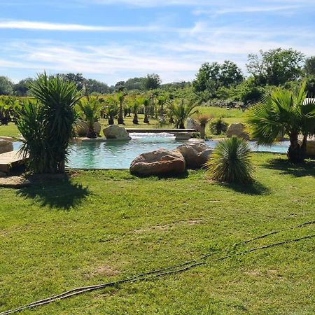 Le Mas Des Cerisiers Jacuzzi Et Sauna Inclus Pour Tous Les Logements Avinyon Dış mekan fotoğraf