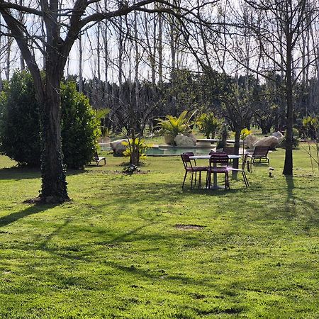 Le Mas Des Cerisiers Jacuzzi Et Sauna Inclus Pour Tous Les Logements Avinyon Dış mekan fotoğraf