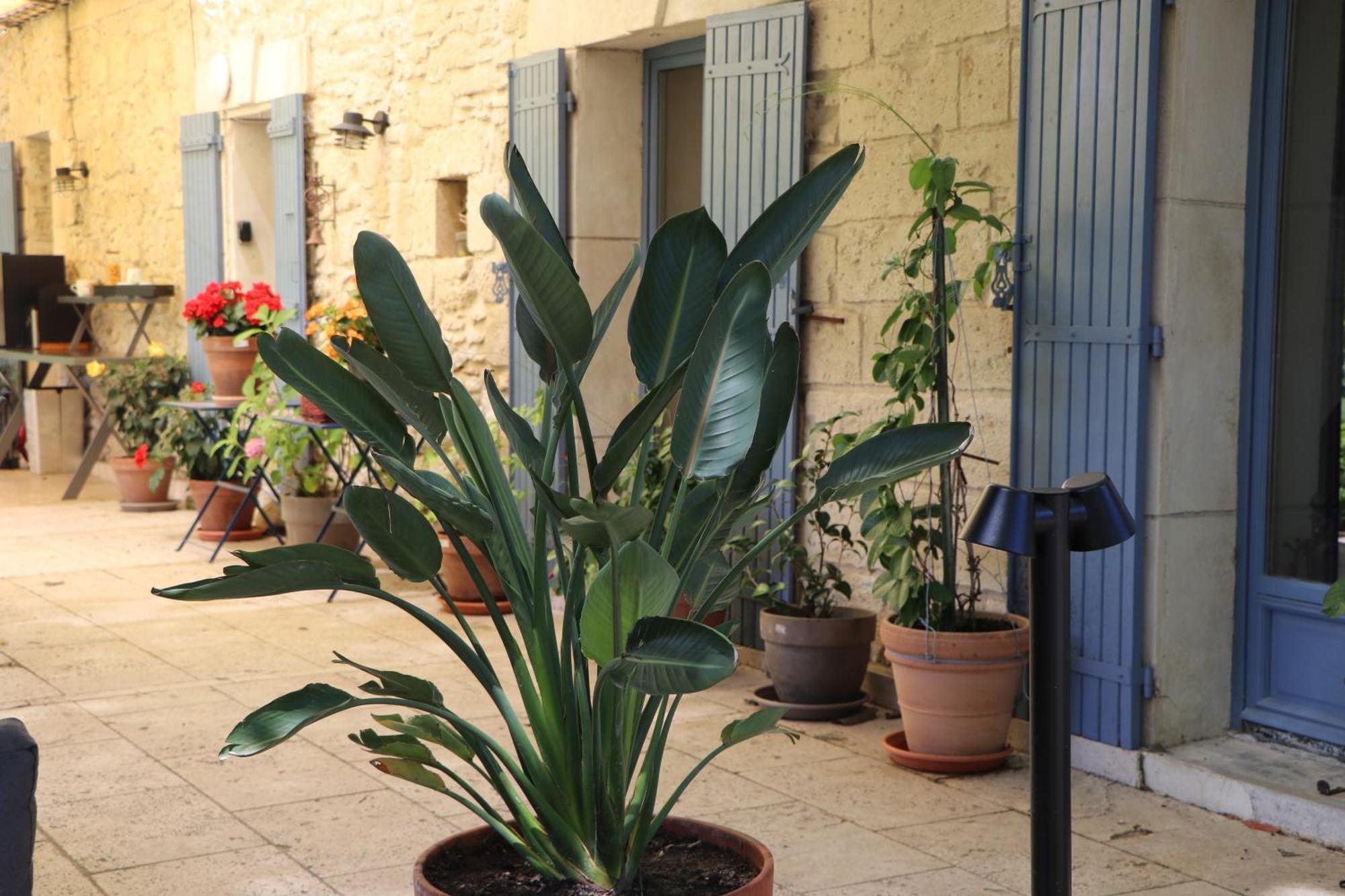 Le Mas Des Cerisiers Jacuzzi Et Sauna Inclus Pour Tous Les Logements Avinyon Dış mekan fotoğraf