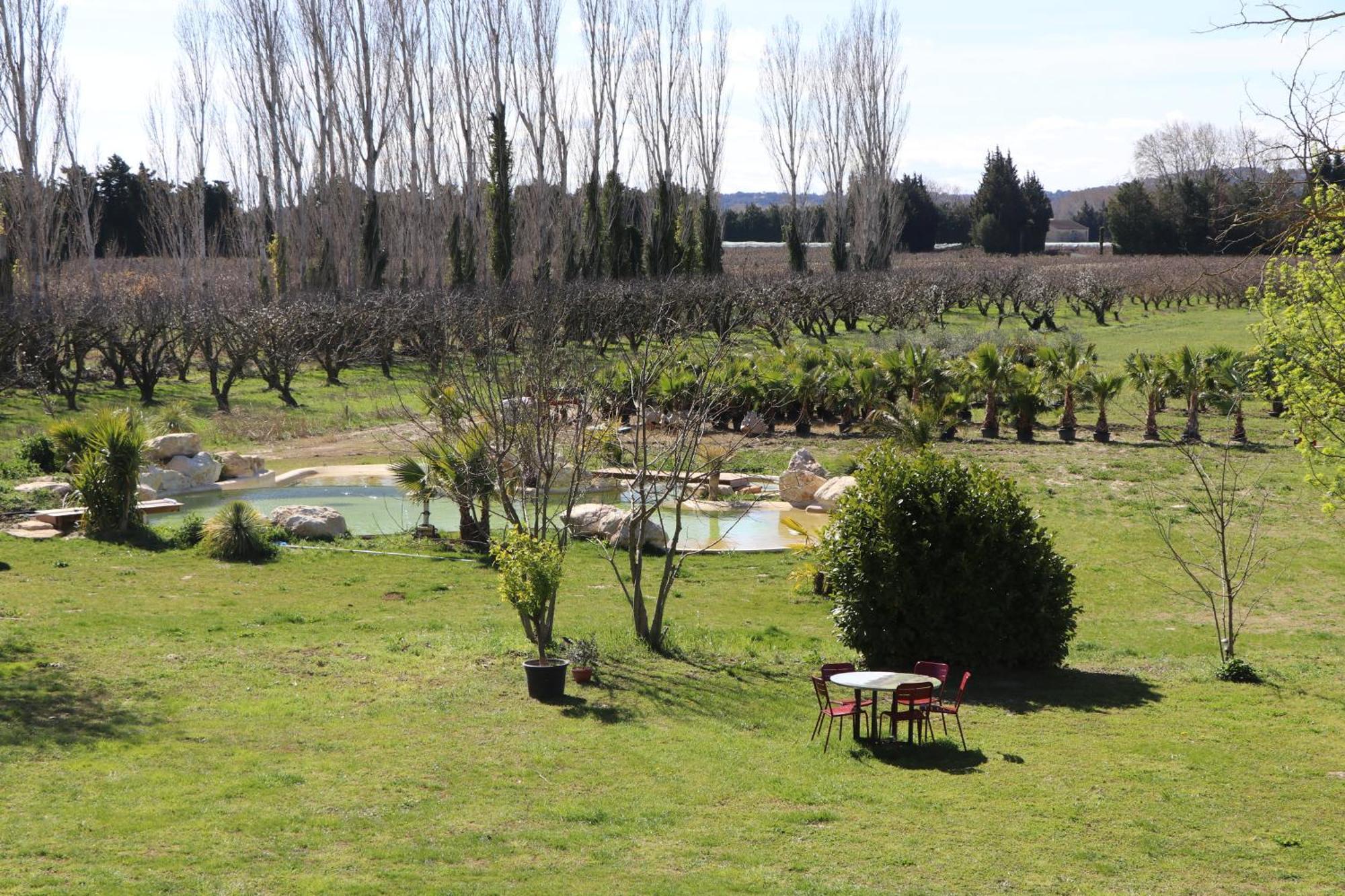 Le Mas Des Cerisiers Jacuzzi Et Sauna Inclus Pour Tous Les Logements Avinyon Dış mekan fotoğraf
