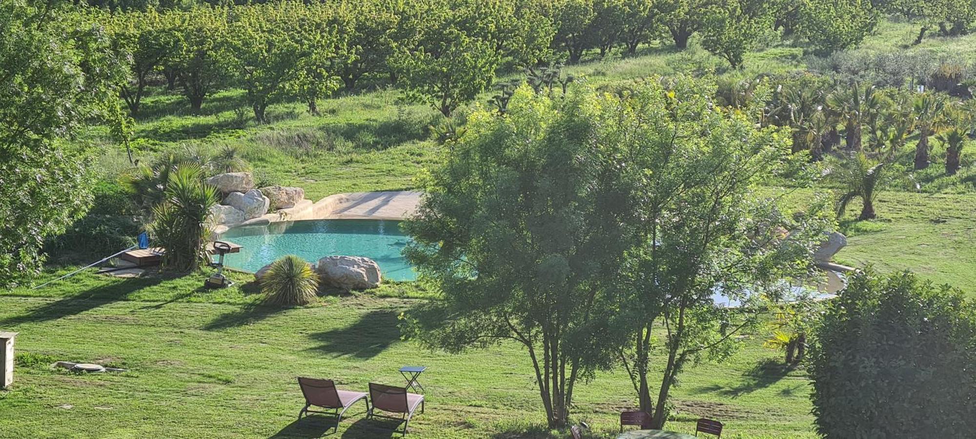 Le Mas Des Cerisiers Jacuzzi Et Sauna Inclus Pour Tous Les Logements Avinyon Dış mekan fotoğraf