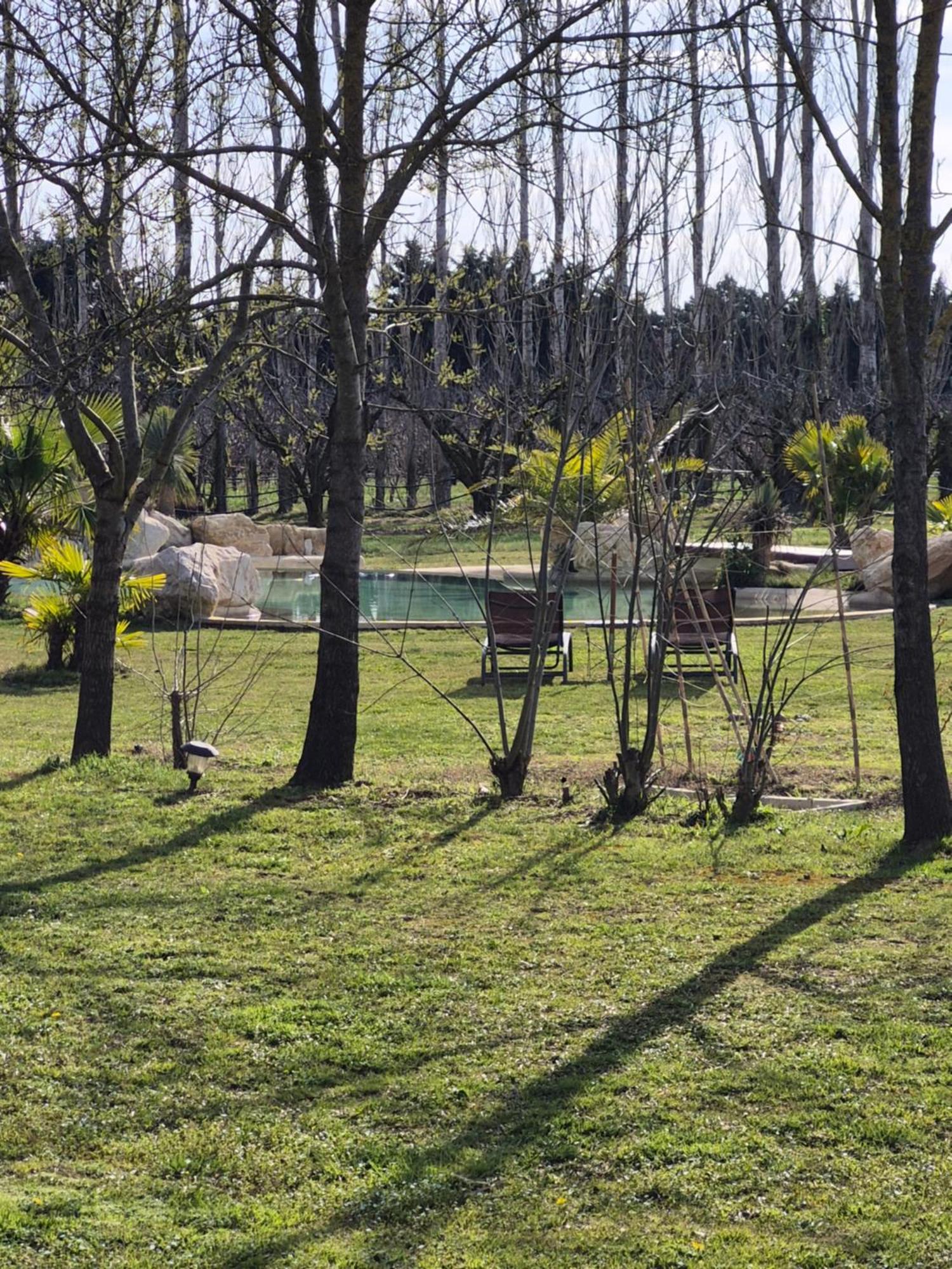 Le Mas Des Cerisiers Jacuzzi Et Sauna Inclus Pour Tous Les Logements Avinyon Dış mekan fotoğraf